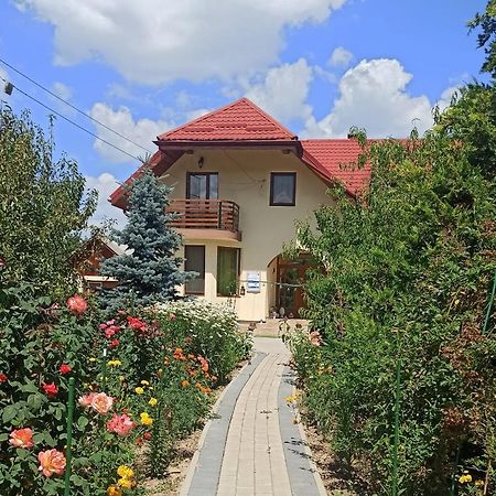 Agropensiunea Florina-Maria Branistea  Esterno foto