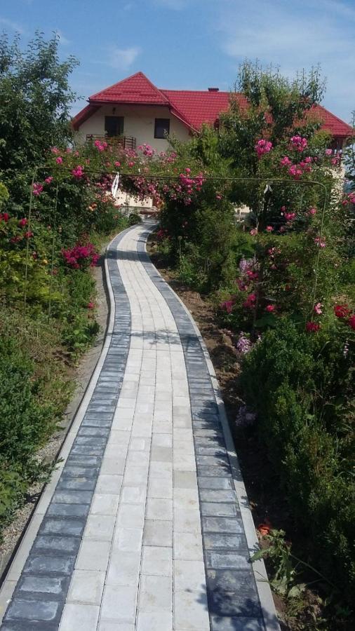 Agropensiunea Florina-Maria Branistea  Esterno foto