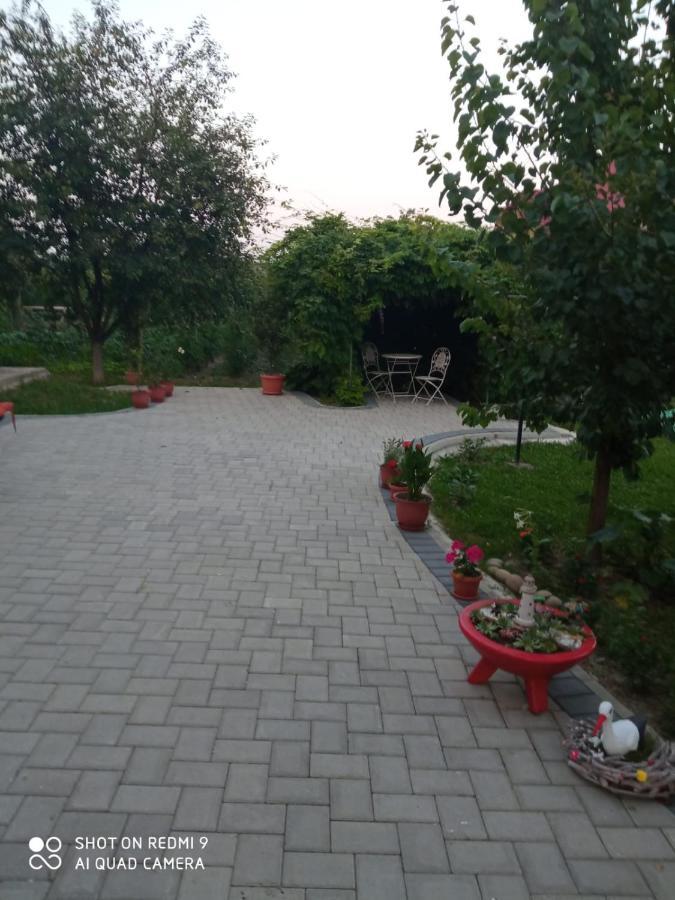 Agropensiunea Florina-Maria Branistea  Esterno foto
