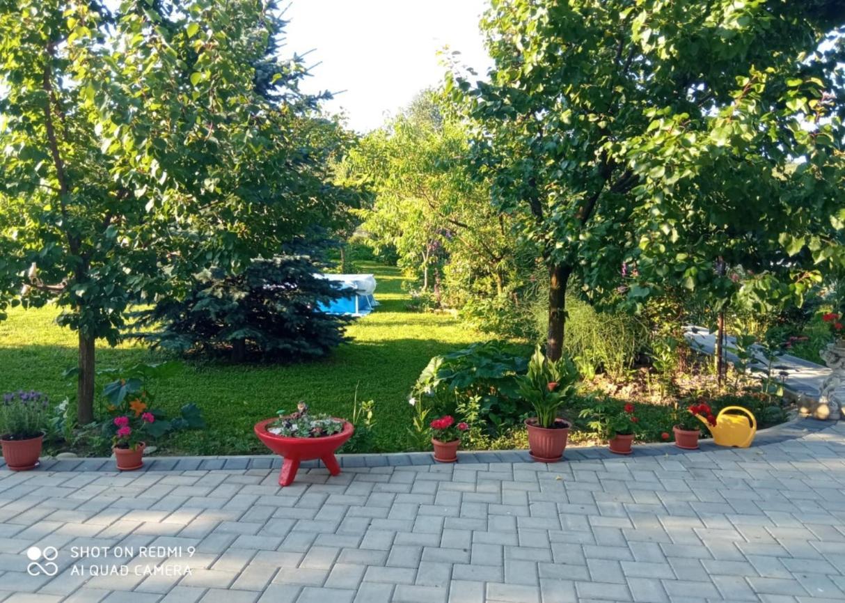 Agropensiunea Florina-Maria Branistea  Esterno foto