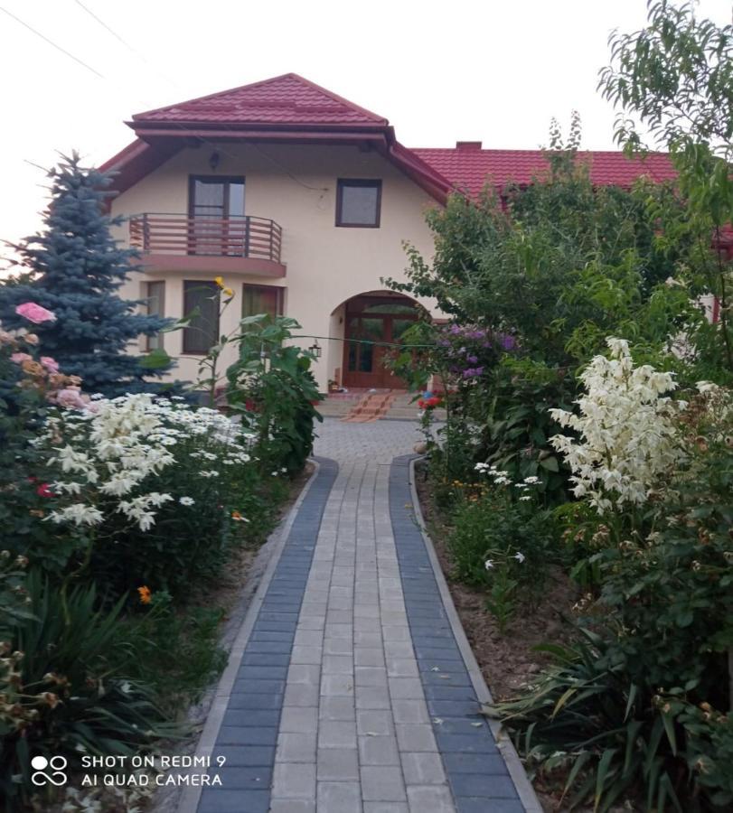 Agropensiunea Florina-Maria Branistea  Esterno foto
