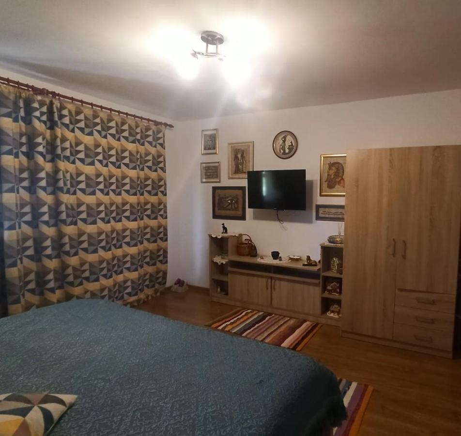 Agropensiunea Florina-Maria Branistea  Esterno foto