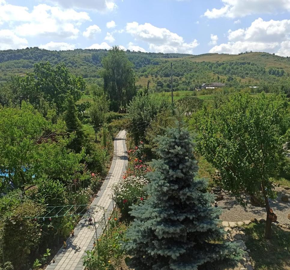 Agropensiunea Florina-Maria Branistea  Esterno foto