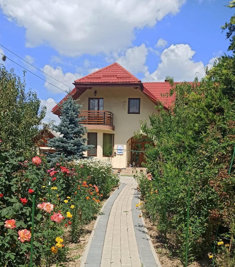 Agropensiunea Florina-Maria Branistea  Esterno foto