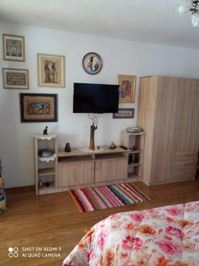 Agropensiunea Florina-Maria Branistea  Esterno foto