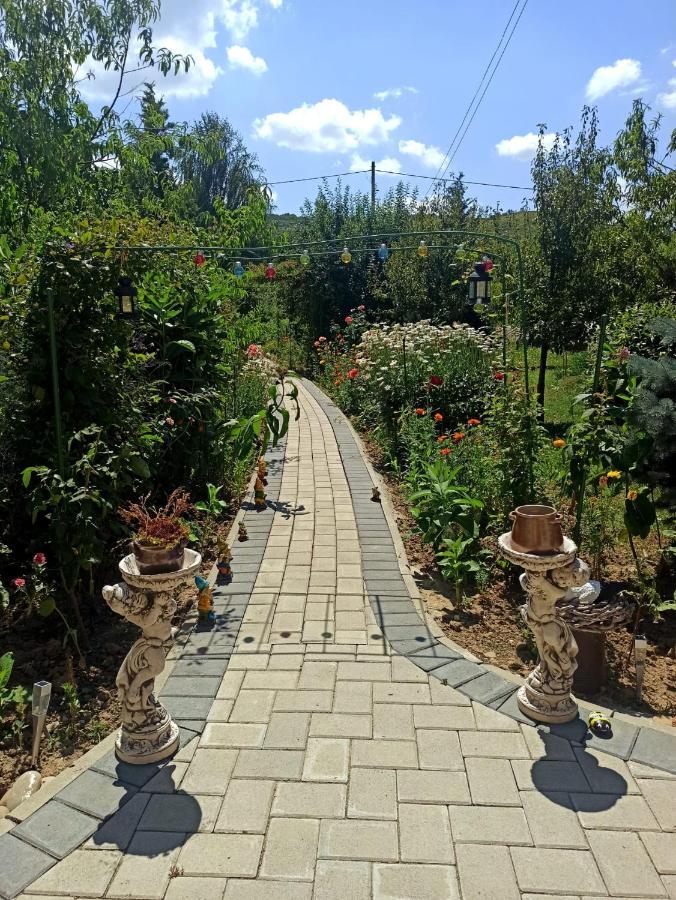 Agropensiunea Florina-Maria Branistea  Esterno foto